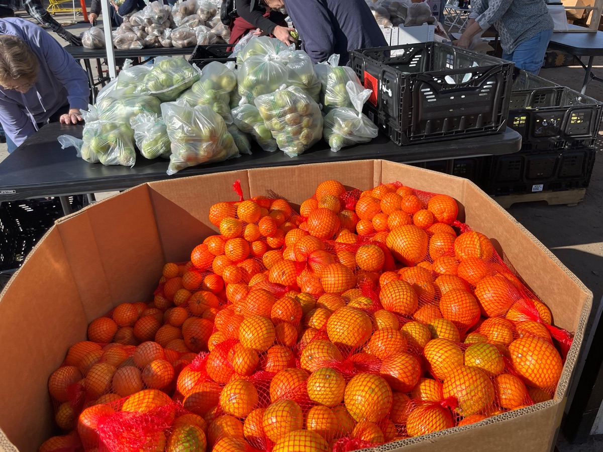 Bin of fresh oranges in red mesh bags beside green bagged produce, ready for families coming through the pantry