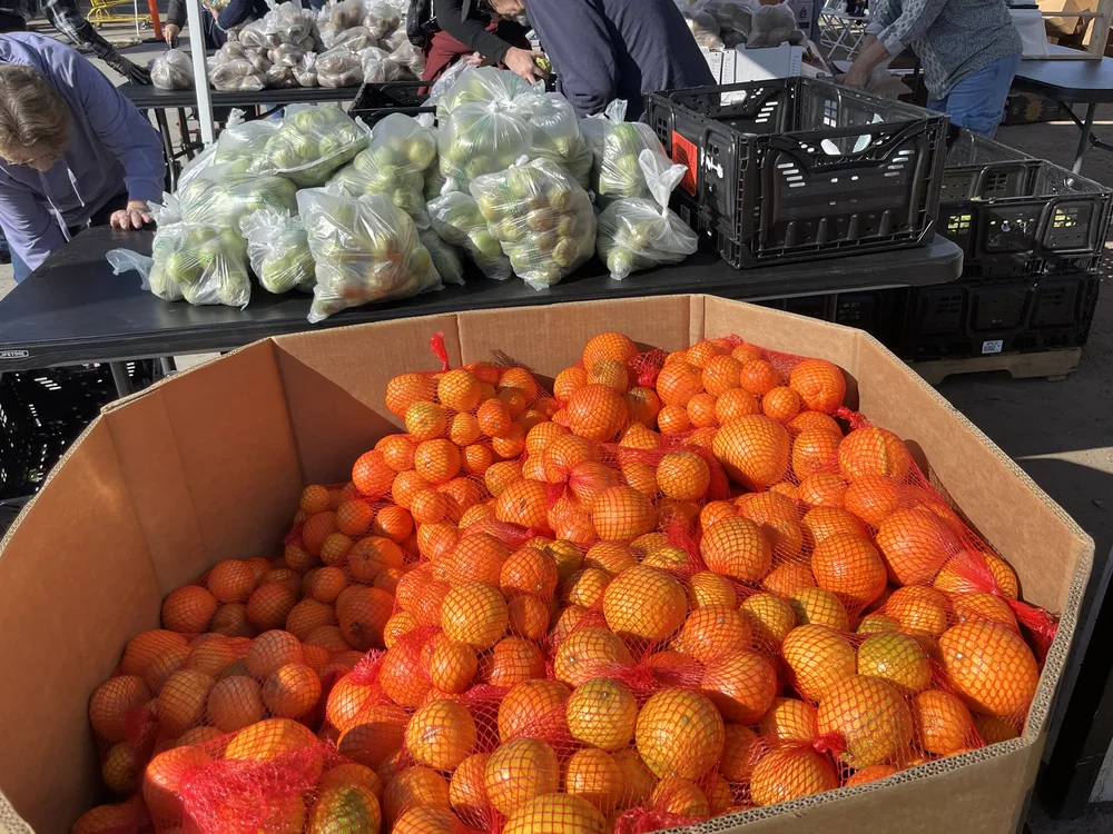A large box of bagged oranges beside bags of fresh produce.