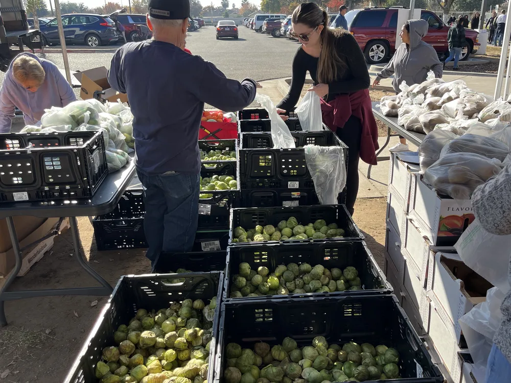 Volunteers stand behind crates of produce, bagging food for the line.